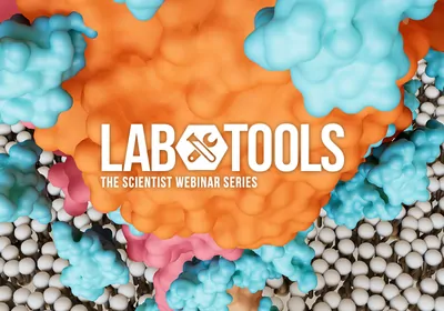 Getting Started with Glycan Screening Getting Started with Glycan Screening 